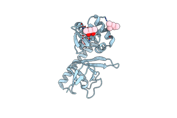 2ZCW image