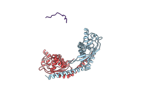 2ZD7 image