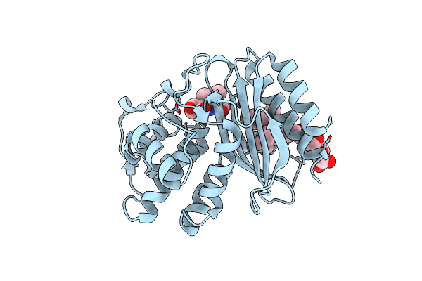 2ZD8 image
