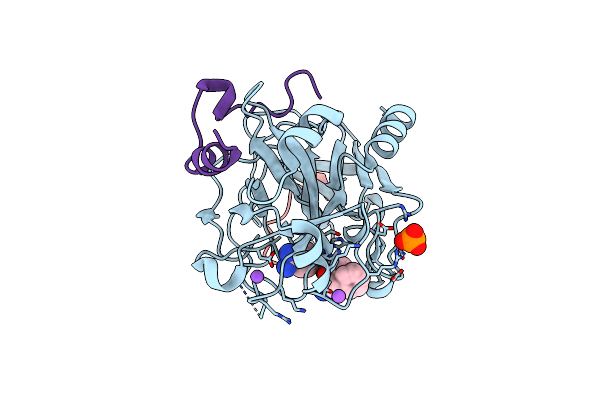 2ZDA image