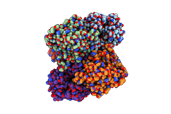 2ZDS image