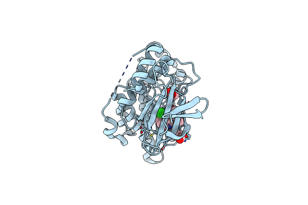2ZDT image