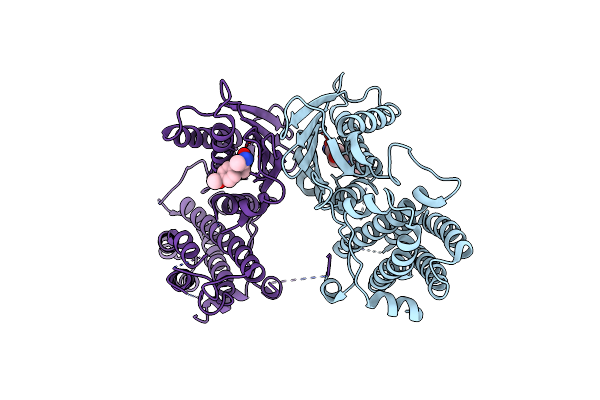 2ZDX image