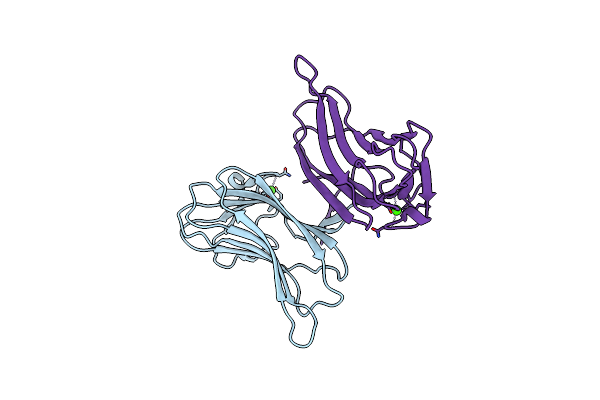 2ZEW image