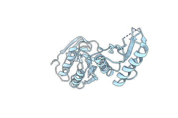 2ZF8 image