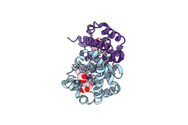 2ZFB image