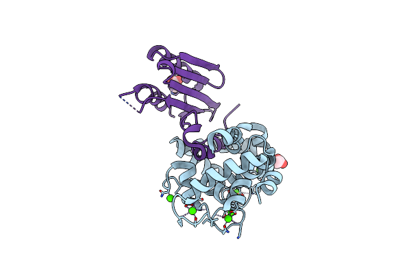 2ZFD image