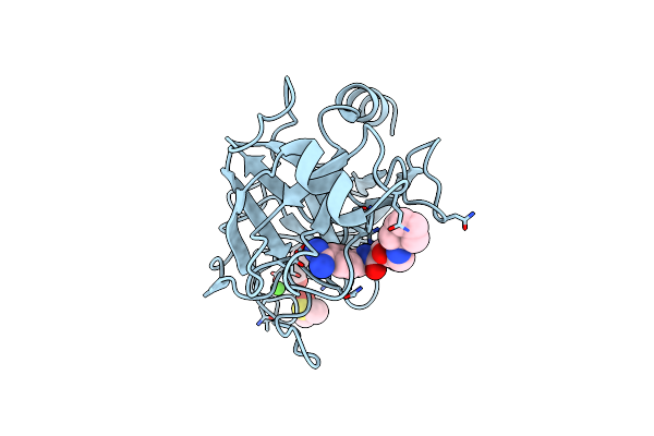 2ZFS image