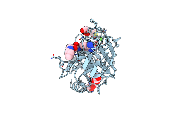2ZFT image