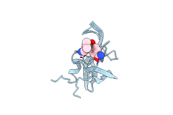 2ZGA image