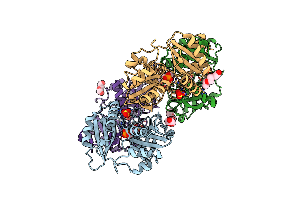 2ZGI image