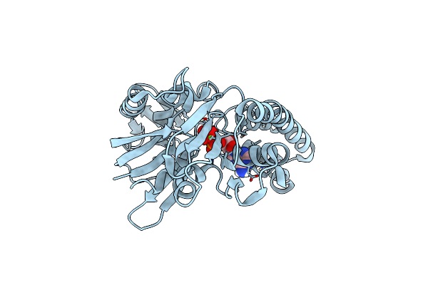 2ZHC image