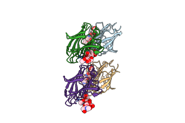 2ZHL image