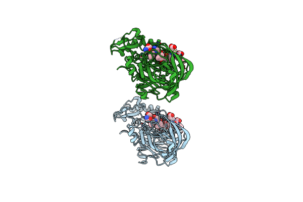 2ZHR image