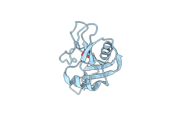 2ZIB image