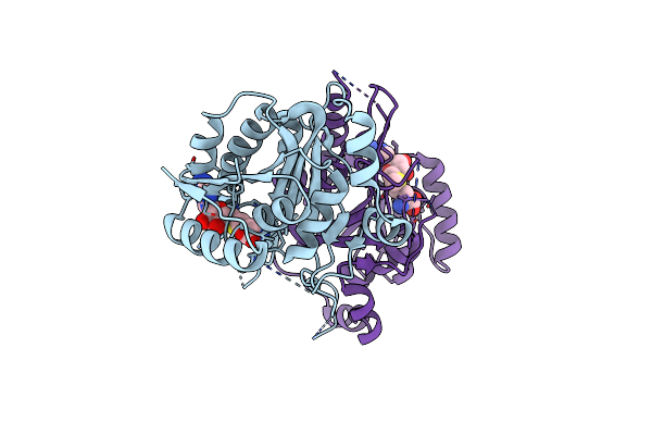 2ZIF image