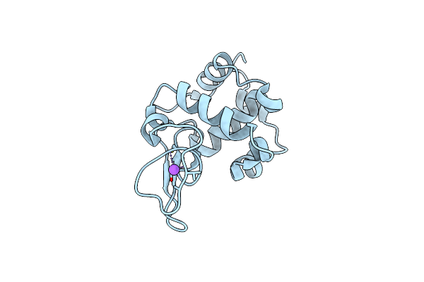 2ZIK image
