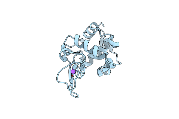 2ZIL image