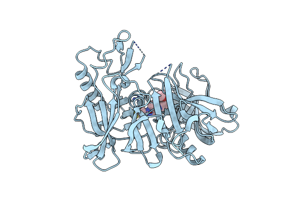 2ZJI image