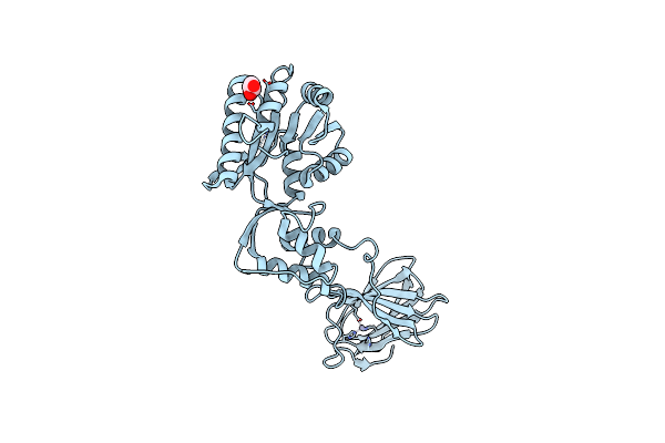 2ZKL image