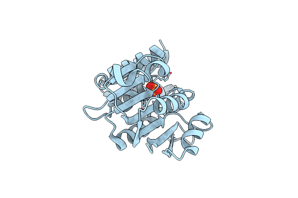 2ZLB image