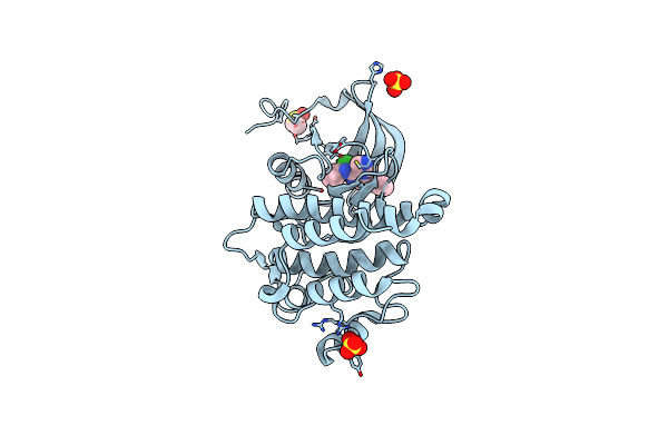 2ZM1 image