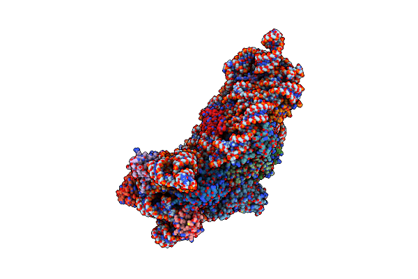 2ZM6 image