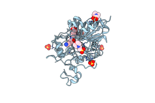 2ZM9 image