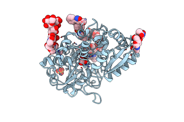 2ZMB image