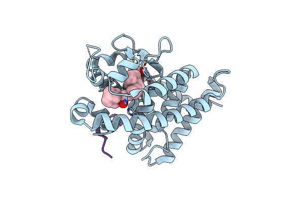 2ZMH image