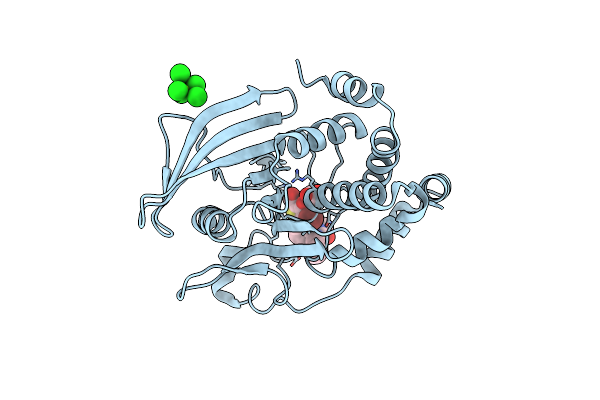 2ZMM image