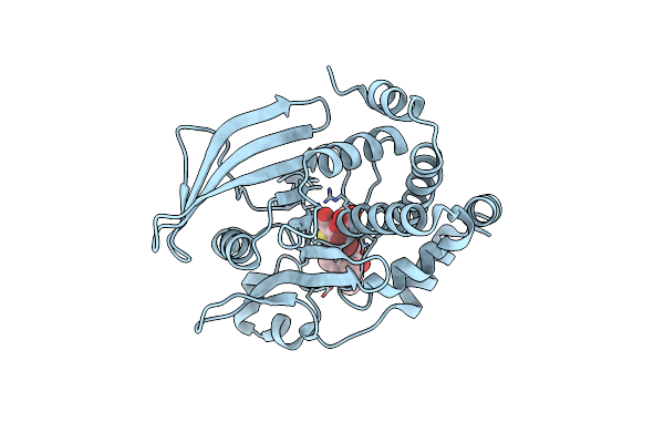 2ZN7 image