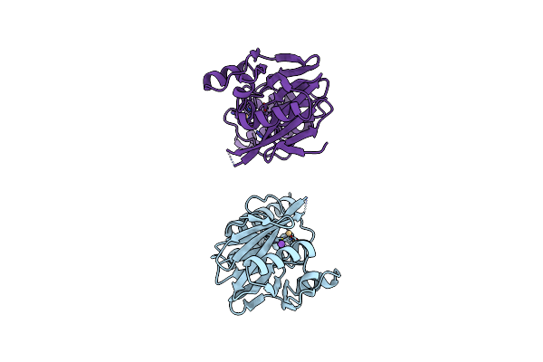 2ZNB image