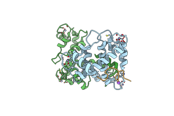 2ZNE image