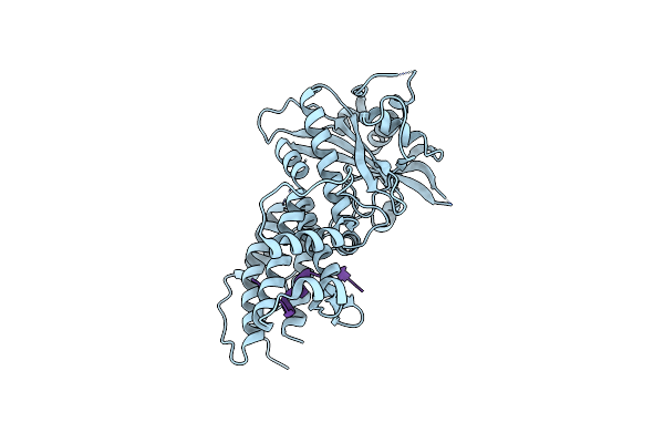2ZNL image