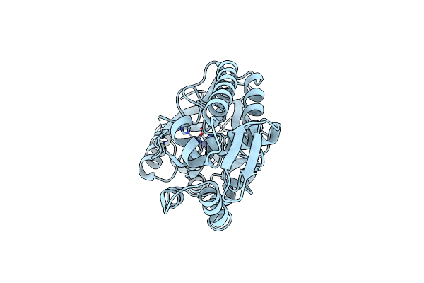 2ZO4 image