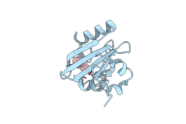 2ZOH image