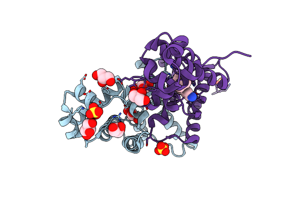 2ZOZ image