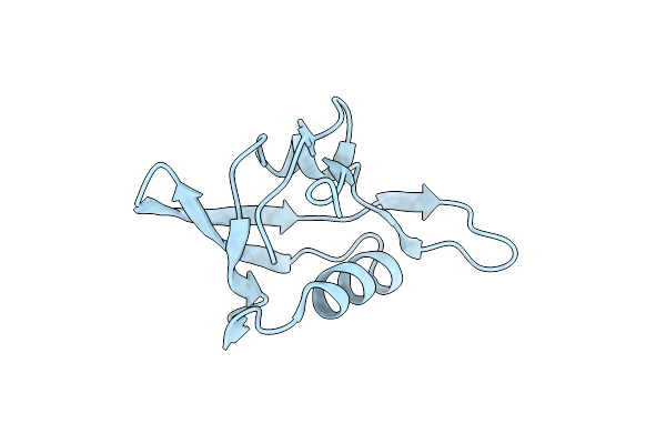 2ZPM image