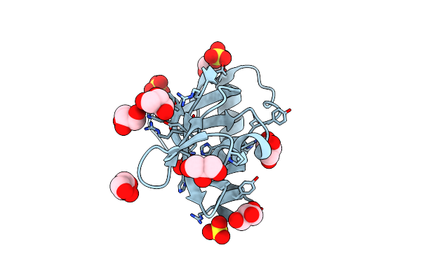 2ZPO image