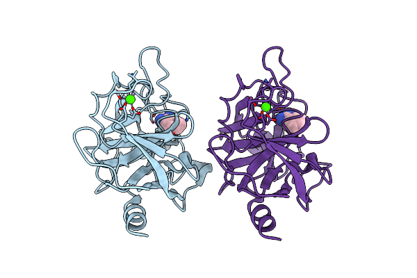 2ZPR image