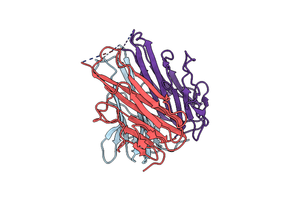 2ZPX image