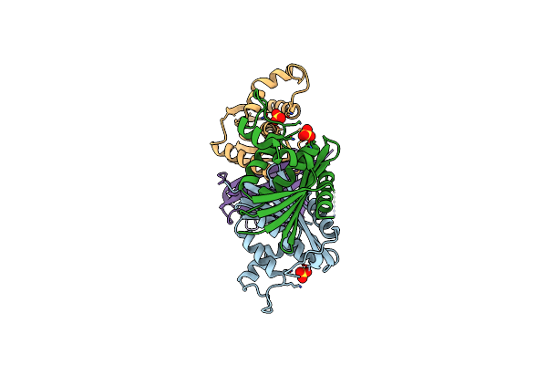 2ZQB image