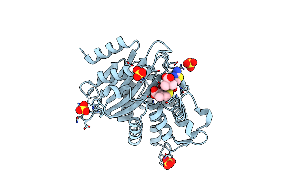 2ZQD image