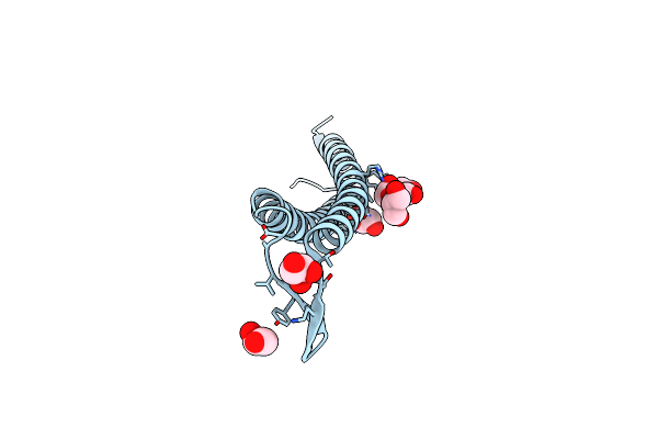 2ZQM image