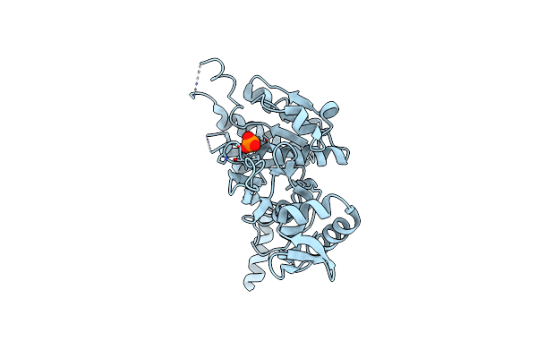 2ZR7 image