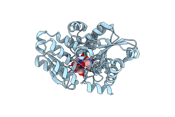 2ZR8 image