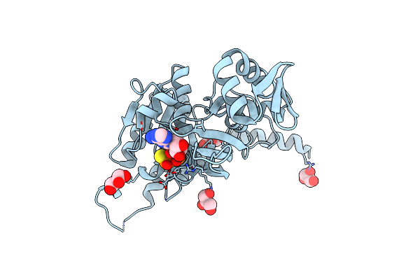 2ZRA image