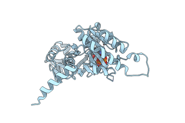 2ZRF image