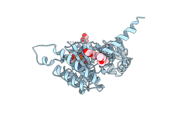 2ZRJ image